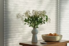 Hunter Douglas Duette