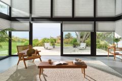 Hunter Douglas Duette