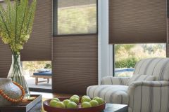Hunter Douglas Duette