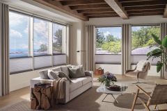 Hunter Douglas Duette 