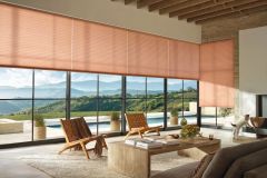 Hunter Douglas Duette 