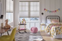 Hunter Douglas Applause 