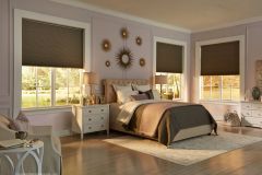 Lutron Honeycomb Shades
