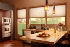 Lutron Honeycomb Shades