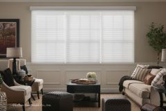 Lutron Horizontal Sheers