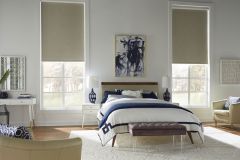 Lutron Roller Shades