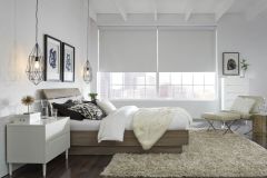Lutron Roller Shades