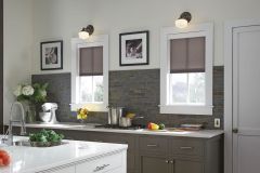 Lutron Roller Shades
