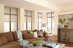 Lutron Roller Shades