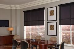 Lutron Roller Shades