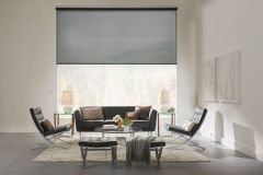 Lutron Roller Shades