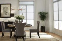 Lutron Roller Shades