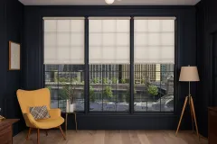 Lutron Roller Shades