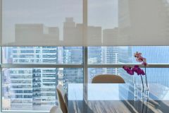 Lutron Roller Shades