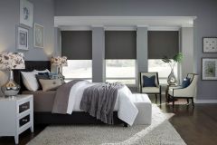 Lutron Roller Shades