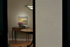 Privacy-Opacity-View-of-LF-cellular-at-night
