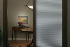 Privacy-Opacity-View-of-RD-cellular-at-night