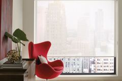 Privacy-Openess-Factor-HD-Empire-5-White