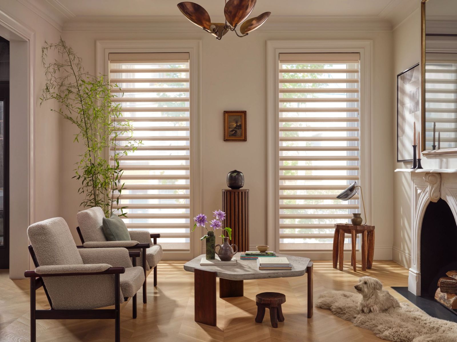 Hunter Douglas Pirouette