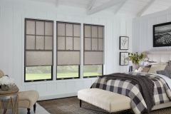 Roller Shades