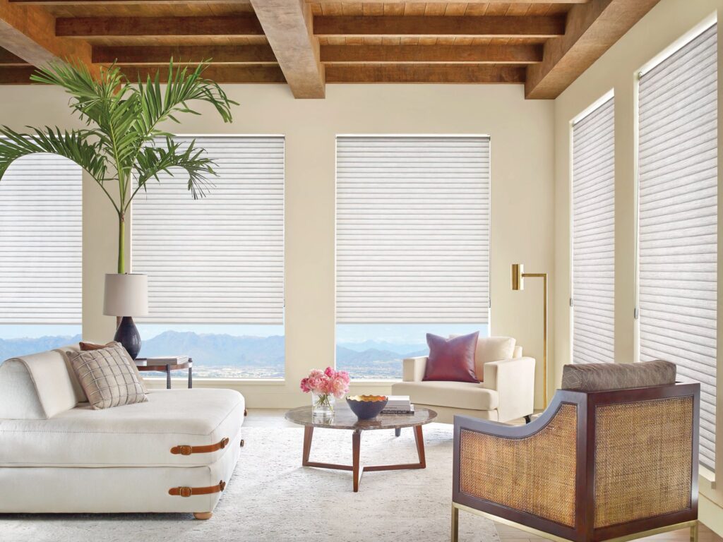 Sonnette roller shades in a livingroom.  A hybrid of a roller shade with a honeycomb shade.