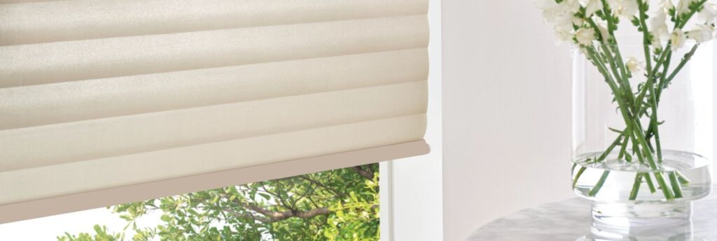 Window Treatment options