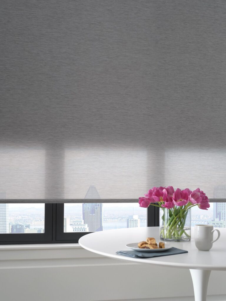 Dual roller shades provide privacy and light control